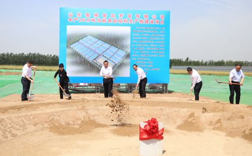 魯糧集團功能食品餡料項目開工奠基儀式成功舉辦