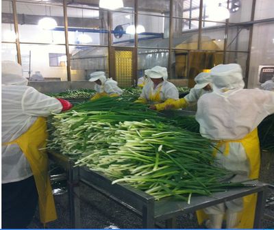 脫水蔬菜、脫水蔥片、調味包、餅干專用、烘焙料,廠家直銷