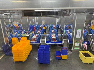 石首農(nóng)產(chǎn)品加工業(yè):開足馬力生產(chǎn)忙 產(chǎn)銷兩旺勢(shì)頭好