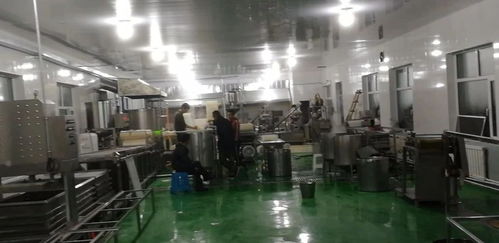 全自動干豆腐機支撐起了一個豆制品廠